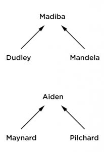 A diagram illustrating the relationships of various penguins living at the zoo