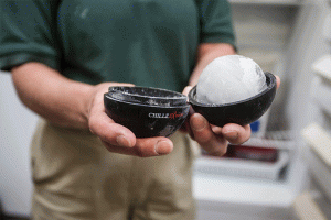 An enrichment item: fish frozen in an ice ball