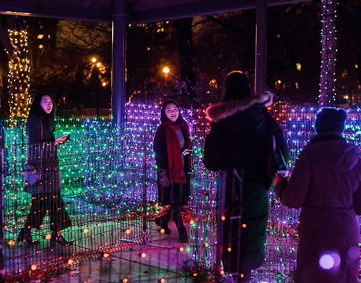 Guests navigating the Light Maze during ZooLights
