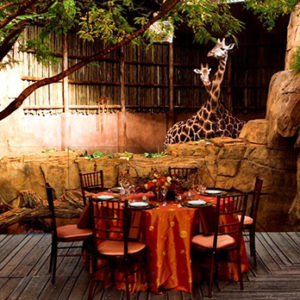 Regenstein African Journey prior to private event