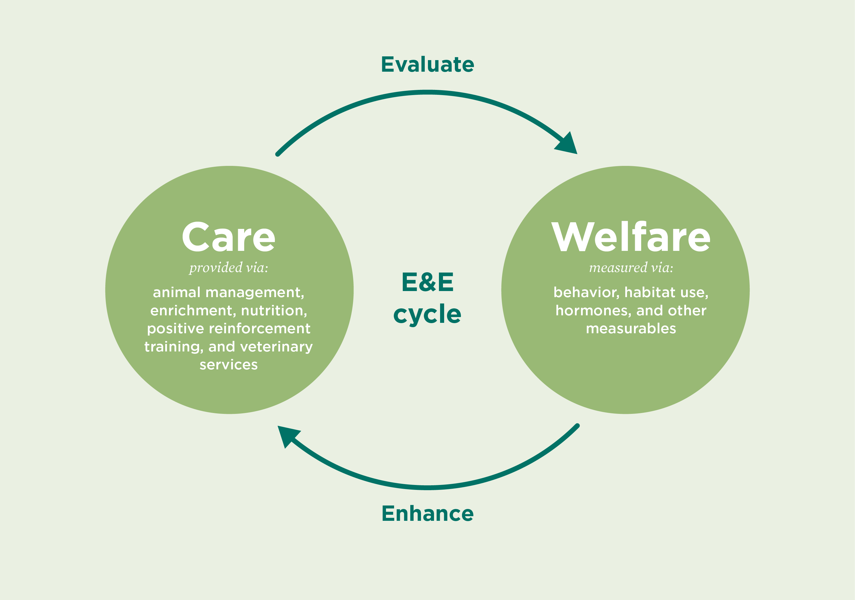 Care vs Welfare infographic - Lincoln Park Zoo Care vs Welfare infographic - Lincoln Park Zoo