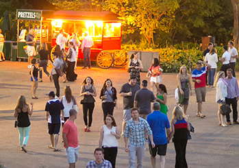 Guests crossing the Main Mall during Night at the Zoo