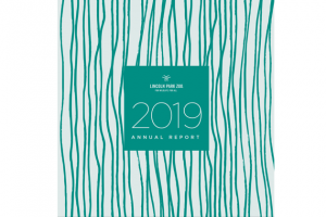 2019 Annual Report