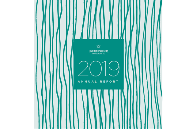 2019 Annual Report