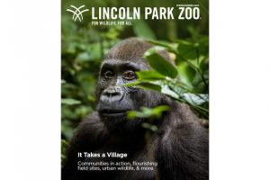 Lincoln Park Zoo Magazine: Spring/Summer 2020