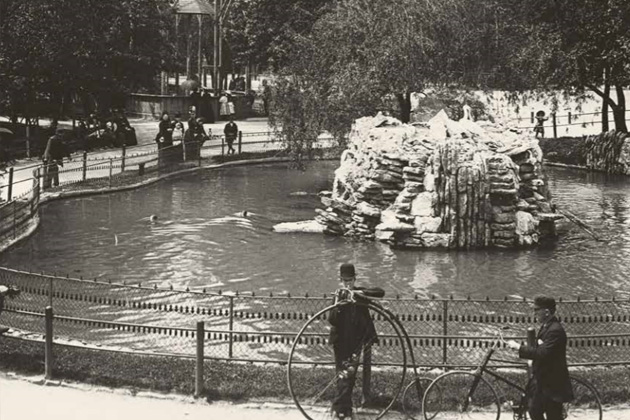 Old photo of the zoo's seal pool