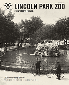 Cover of Lincoln Park Zoo Magazine (Summer 2018 issue) featuring an old photo of the zoo's seal pool