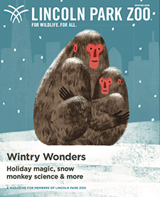 Cover of Lincoln Park Zoo Magazine (Winter 2018 issue) featuring an illustration of two Japanese macaques holding each other in the snow