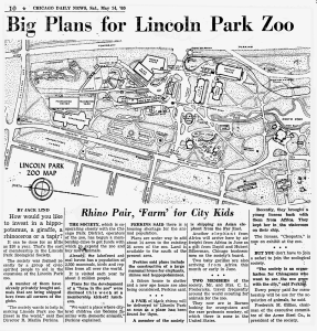 A historic black-and-white news clipping of upcoming Lincoln Park Zoo renovations
