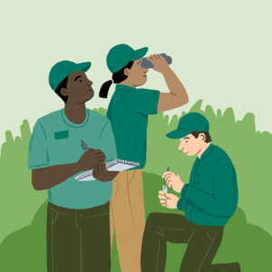 Illustration of zoo researchers in the field