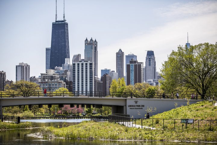 Nature Boardwalk with skyline view of Chicago skyscrapers