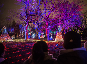 Guests enjoying a light display at ZooLights Presented by ComEd and Invesco QQQ
