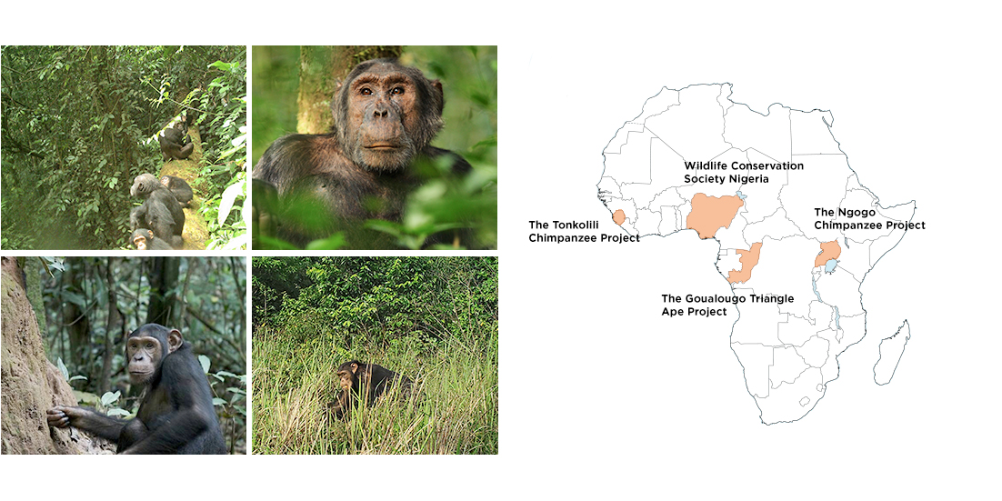 A map showing the locations of conservation sites in Africa
