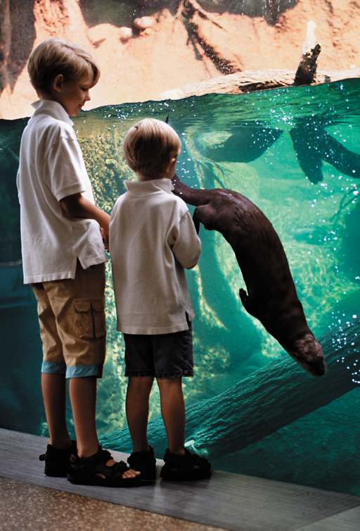 Children watching otters in exhibit