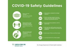 COVID-19 Safety Guidelines