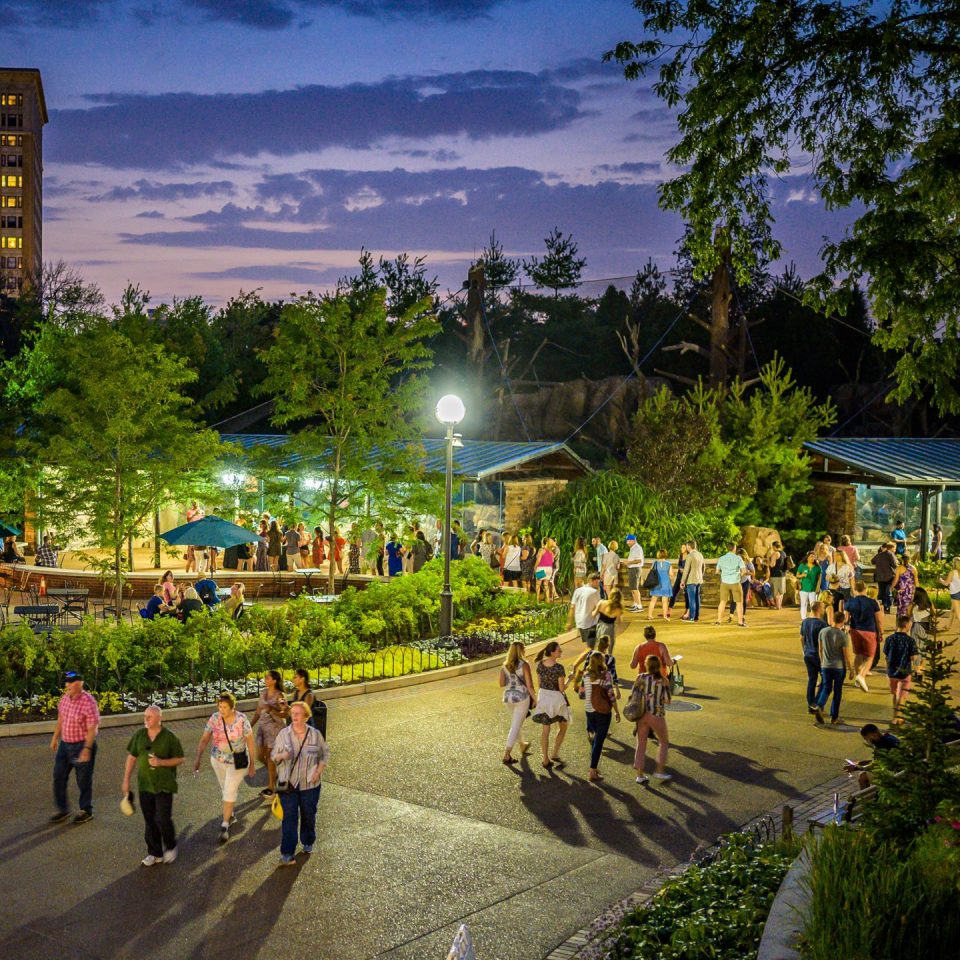 Wildlife Experience In The Heart Of Chicago Lincoln Park Zoo