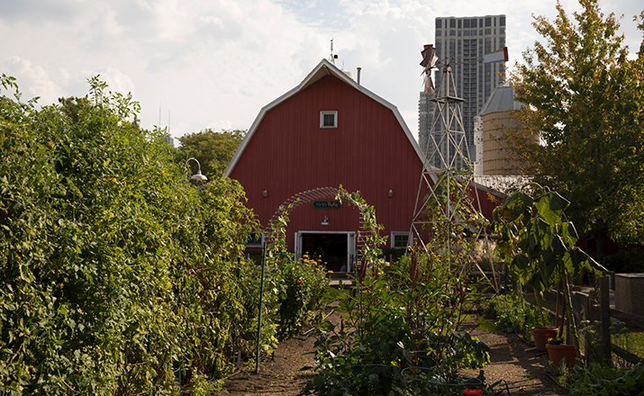 Edible Gardens at Farm-in-the-Zoo