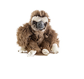 Hoffmann's two-toed sloth plush