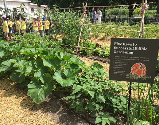 Farm-in-the-Zoo