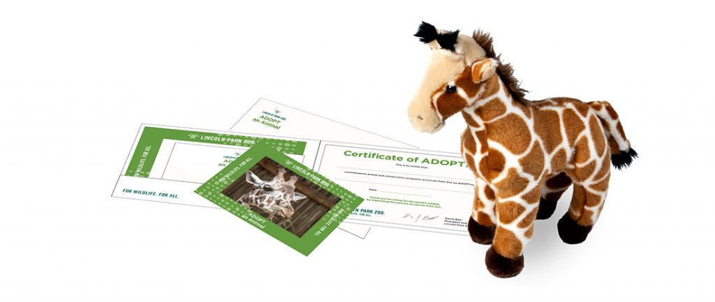 ADOPT an Animal package including plush, photograph, and certificate