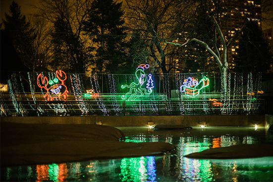 Guests enjoying light displays during ZooLights