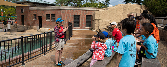 Zoo educators teaching guests about seals