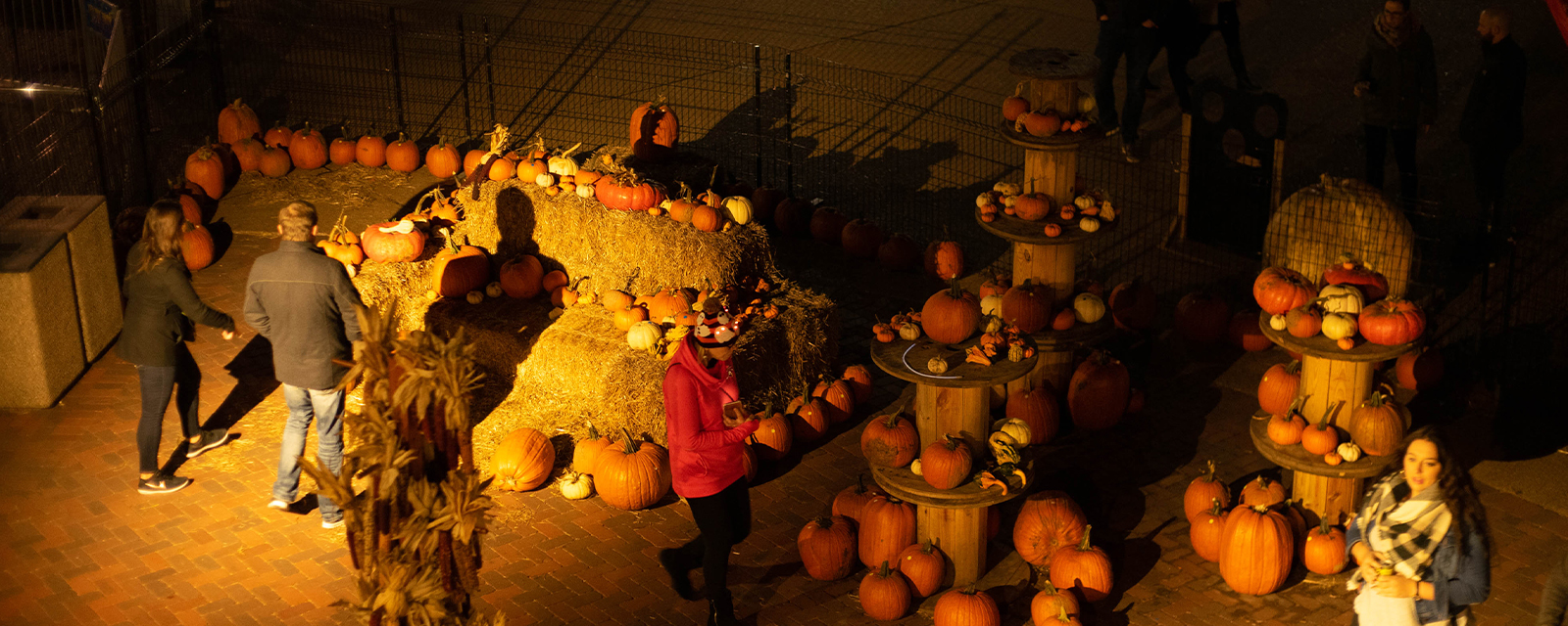 Guests enjoying Adults Night Out: The Great Pumpkin Glow