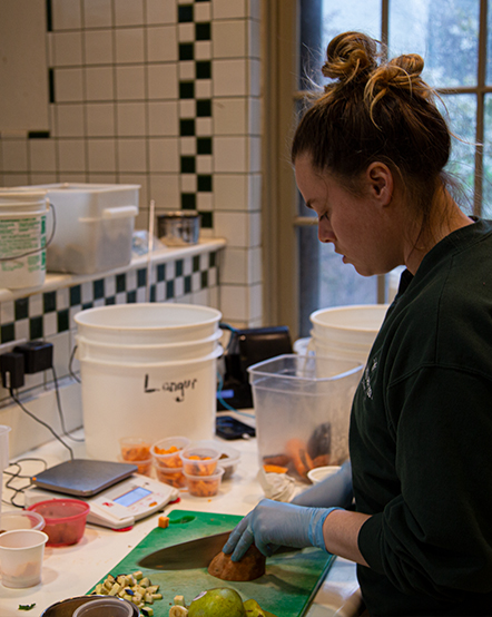 Nutrition staff preparing meals for the animals