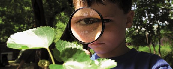 A child peers through a magnifying glass