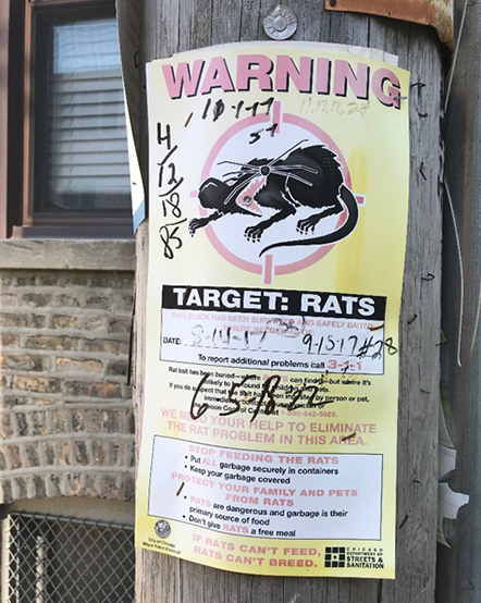 A poster, stapled to a wooden electrical post, warning about the presence of rats