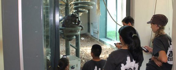 Camp children observe chimpanzees