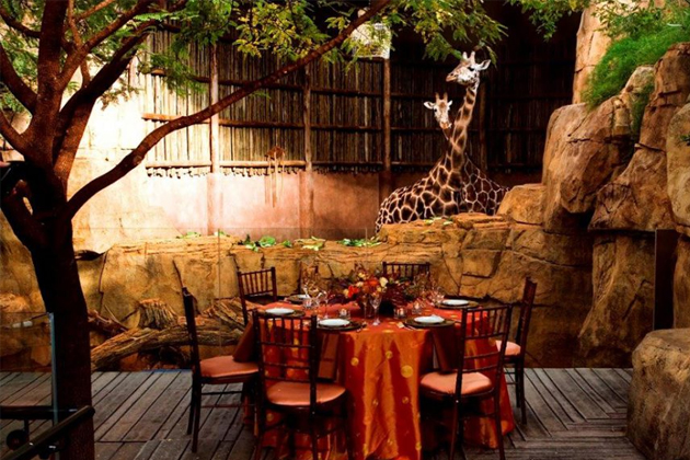 Top 5 Reasons to Rent a Zoo Space for Your Holiday Celebration