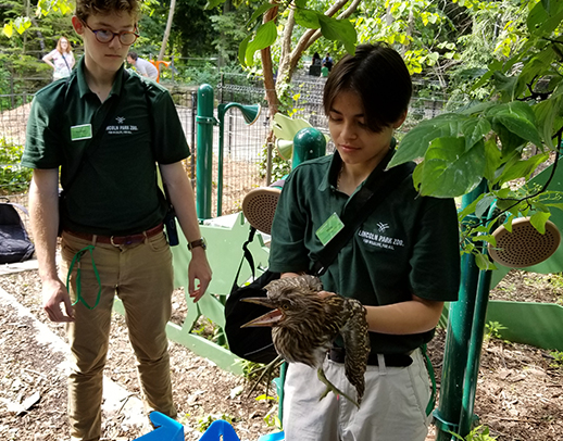 wildlife learning center jobs