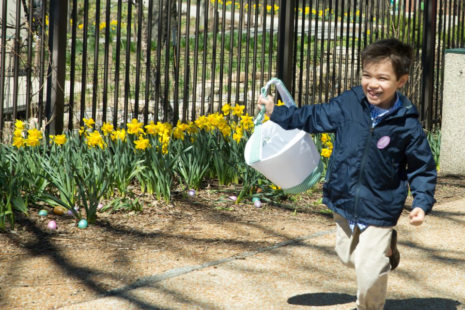 Easter Egg-Stravaganza Returns to Lincoln Park Zoo