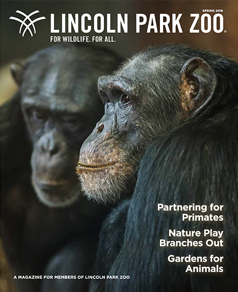 Magazine Archive - Lincoln Park Zoo Magazine Archive - Lincoln Park Zoo