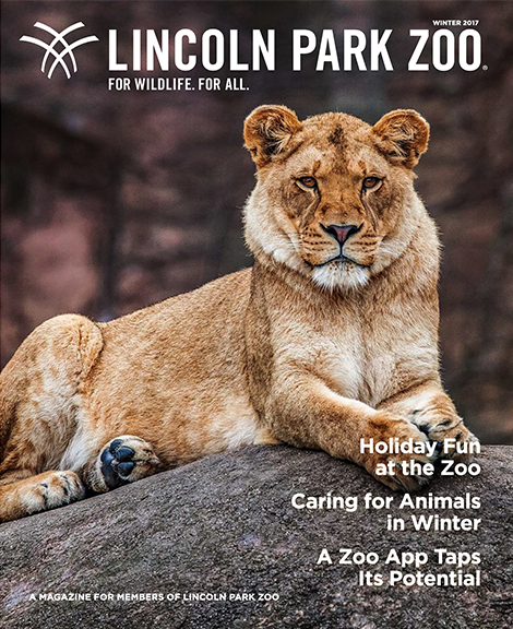Magazine Archive - Lincoln Park Zoo Magazine Archive - Lincoln Park Zoo
