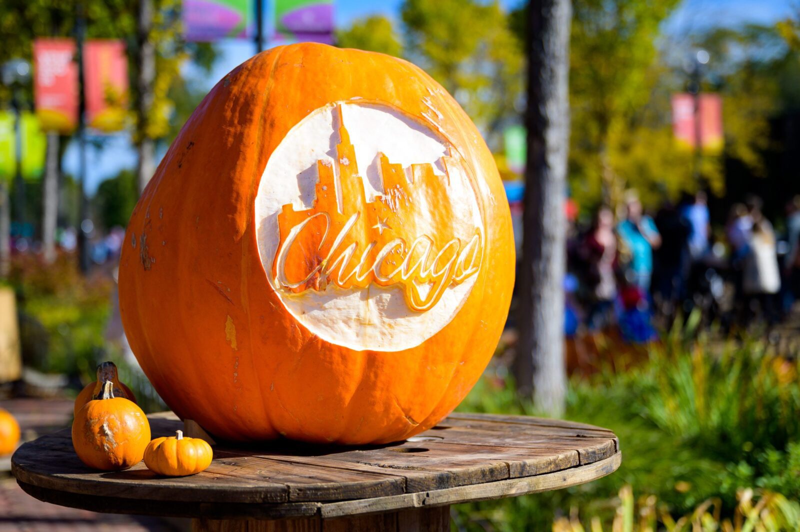 Fall Fest Presented by JewelOsco is Now Open at Lincoln Park Zoo