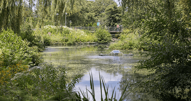 Hope B. McCormick Swan Pond