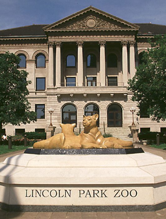 The lion statues in from of Matthew Laflin Memorial Building