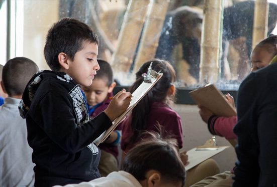 Children watching the western lowland gorillas and writing down their observations