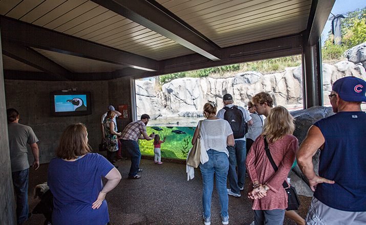 Tactile floor near Robert and Mayari Pritzker Penguin Cove