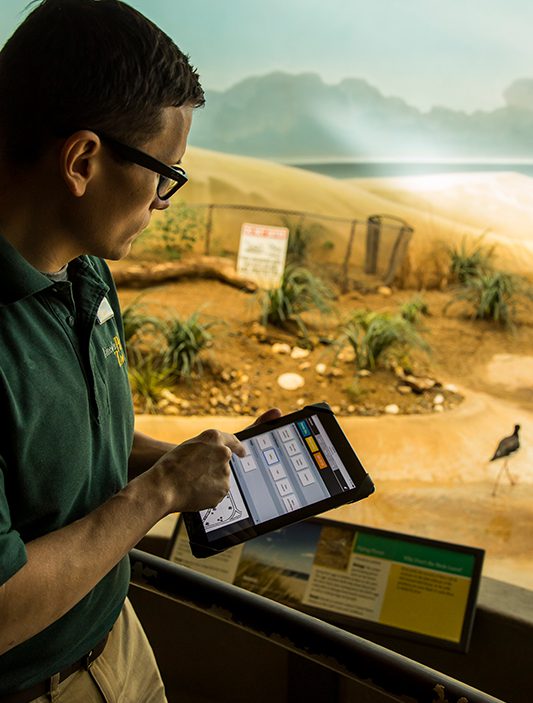 Animal Care staff monitoring bird behavior in exhibit