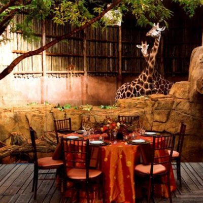 Top 5 Reasons to Rent a Zoo Space for Your Holiday Celebration