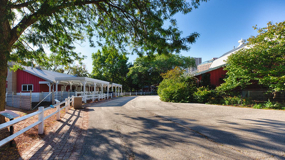 Farm-in-the-Zoo