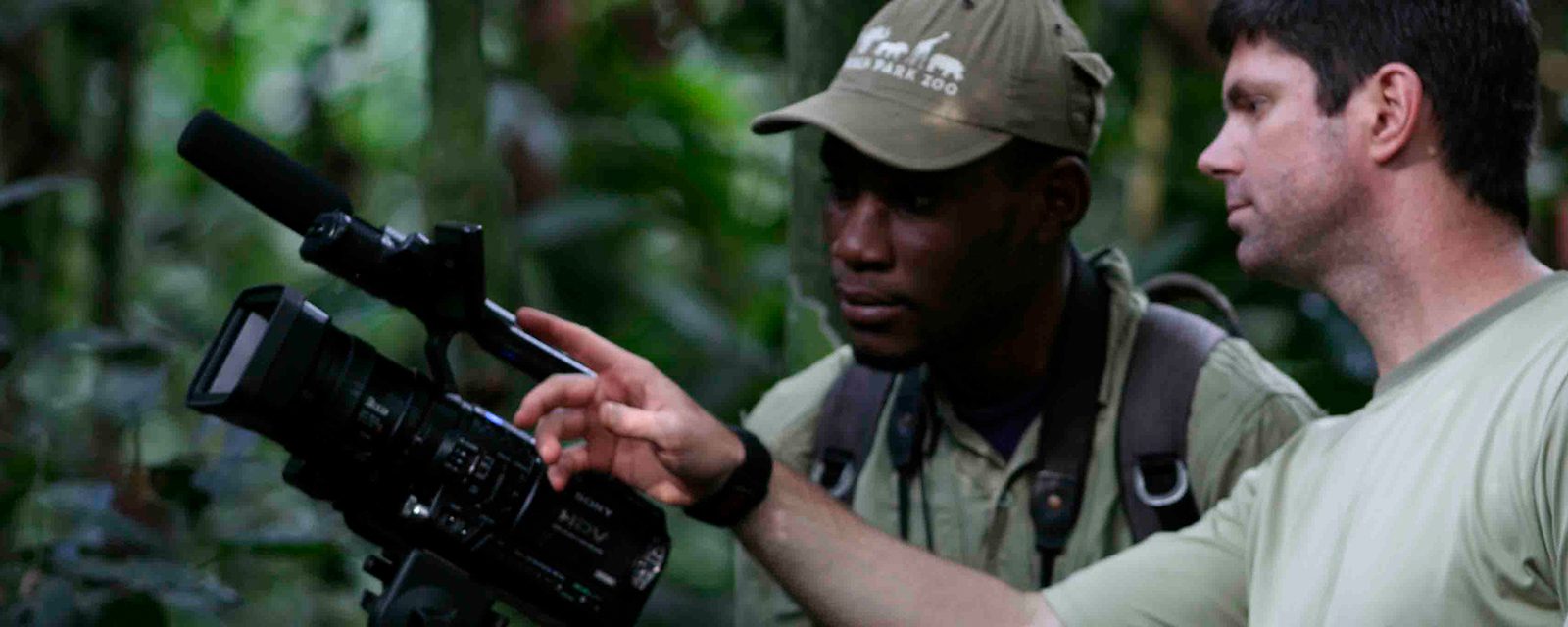 Zoo scientists record wildlife