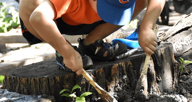 a child digging in the dirt with small wooden tools