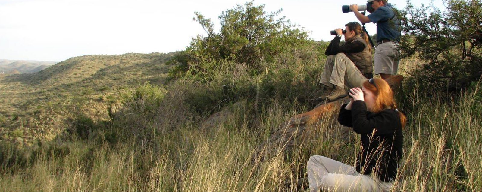 Zoo scientists observe wild animals