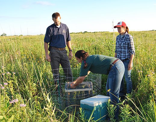 Conservation & Science staff in the field