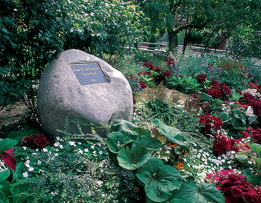 Rock-embedded dedication plaque