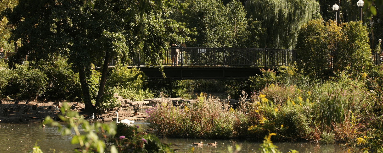 Hope B. McCormick Swan Pond overlook